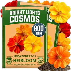 image:imageHOME GROWN Cosmos Bright Lights Mix Seeds  800 Heirloom NonGMO Cosmos Sulphureus Seeds for Planting Annual Wildflower Mix Orange Gold Scarlet Yellow Blooms Pollinator amp Cut Flower Garden Seeds