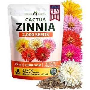 image:imageHOME GROWN Zinnia Cactus Mix Seeds  2000 Heirloom NonGMO Flower Seeds for Spring 2026 Planting Outdoors Large Cactus Blooms Tall Cut Flower Garden USDA Zones 310 Zinnia elegansZinnia Cactus  Medium