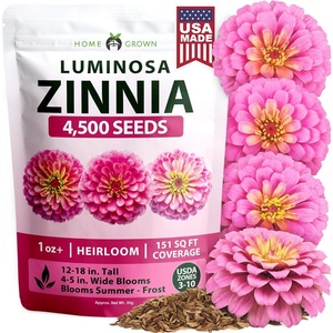 image:imageHOME GROWN Zinnia Cactus Mix Seeds  2000 Heirloom NonGMO Flower Seeds for Spring 2026 Planting Outdoors Large Cactus Blooms Tall Cut Flower Garden USDA Zones 310 Zinnia elegansPink Zinnia Luminosa  Large