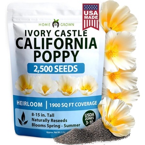image:imageHOME GROWN Zinnia Cactus Mix Seeds  2000 Heirloom NonGMO Flower Seeds for Spring 2026 Planting Outdoors Large Cactus Blooms Tall Cut Flower Garden USDA Zones 310 Zinnia elegansPoppy Ivory Castle  Medium