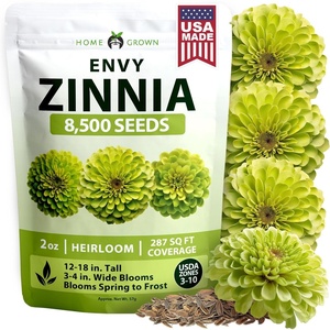 image:imageHOME GROWN Zinnia Cactus Mix Seeds  2000 Heirloom NonGMO Flower Seeds for Spring 2026 Planting Outdoors Large Cactus Blooms Tall Cut Flower Garden USDA Zones 310 Zinnia elegansZinnia Envy  Large