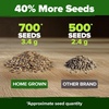image:imageHOME GROWN Cosmos Bright Lights Mix Seeds  400 Cosmos Sulphureus for Planting Spring 2026 Refined Wildflower Herb Seed Mix Easy Grow Outdoor Flower Seeds for GardensBachelors Button Tall