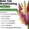 image:imageHOME GROWN Cosmos Bright Lights Mix Seeds  400 Cosmos Sulphureus for Planting Spring 2026 Refined Wildflower Herb Seed Mix Easy Grow Outdoor Flower Seeds for GardensFoxglove Excelsior