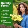 image:imageHOME GROWN Cosmos Bright Lights Mix Seeds  400 Cosmos Sulphureus for Planting Spring 2026 Refined Wildflower Herb Seed Mix Easy Grow Outdoor Flower Seeds for GardensCosmos Dwarf Lemon 2pack