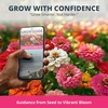 image:imageHOME GROWN Cosmos Bright Lights Mix Seeds  400 Cosmos Sulphureus for Planting Spring 2026 Refined Wildflower Herb Seed Mix Easy Grow Outdoor Flower Seeds for GardensZinnia Thumbelina 2pack