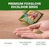 image:imageHOME GROWN Cosmos Bright Lights Mix Seeds  400 Cosmos Sulphureus for Planting Spring 2026 Refined Wildflower Herb Seed Mix Easy Grow Outdoor Flower Seeds for GardensFoxglove Excelsior