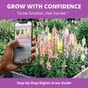 image:imageHOME GROWN Cosmos Bright Lights Mix Seeds  400 Cosmos Sulphureus for Planting Spring 2026 Refined Wildflower Herb Seed Mix Easy Grow Outdoor Flower Seeds for GardensSnapdragon Northern Lights