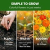 image:imageHOME GROWN Cosmos Bright Lights Mix Seeds  400 Cosmos Sulphureus for Planting Spring 2026 Refined Wildflower Herb Seed Mix Easy Grow Outdoor Flower Seeds for GardensCosmos Bright Lights