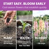 image:imageHOME GROWN Cosmos Bright Lights Mix Seeds  400 Cosmos Sulphureus for Planting Spring 2026 Refined Wildflower Herb Seed Mix Easy Grow Outdoor Flower Seeds for GardensSnapdragon Northern Lights