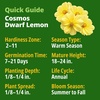 image:imageHOME GROWN Cosmos Bright Lights Mix Seeds  400 Cosmos Sulphureus for Planting Spring 2026 Refined Wildflower Herb Seed Mix Easy Grow Outdoor Flower Seeds for GardensCosmos Dwarf Lemon 2pack
