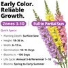 image:imageHOME GROWN Cosmos Bright Lights Mix Seeds  400 Cosmos Sulphureus for Planting Spring 2026 Refined Wildflower Herb Seed Mix Easy Grow Outdoor Flower Seeds for GardensSnapdragon Northern Lights