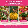 image:imageHOME GROWN Cosmos Bright Lights Mix Seeds  400 Cosmos Sulphureus for Planting Spring 2026 Refined Wildflower Herb Seed Mix Easy Grow Outdoor Flower Seeds for GardensZinnia Thumbelina 2pack