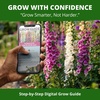 image:imageHOME GROWN Cosmos Bright Lights Mix Seeds  400 Cosmos Sulphureus for Planting Spring 2026 Refined Wildflower Herb Seed Mix Easy Grow Outdoor Flower Seeds for GardensFoxglove Excelsior
