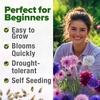 image:imageHOME GROWN Cosmos Bright Lights Mix Seeds  400 Cosmos Sulphureus for Planting Spring 2026 Refined Wildflower Herb Seed Mix Easy Grow Outdoor Flower Seeds for GardensBachelors Button Tall