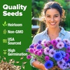 image:imageHOME GROWN Cosmos Bright Lights Mix Seeds  400 Cosmos Sulphureus for Planting Spring 2026 Refined Wildflower Herb Seed Mix Easy Grow Outdoor Flower Seeds for GardensBachelors Button Tall