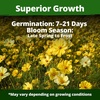 image:imageHOME GROWN Cosmos Bright Lights Mix Seeds  400 Cosmos Sulphureus for Planting Spring 2026 Refined Wildflower Herb Seed Mix Easy Grow Outdoor Flower Seeds for GardensCosmos Dwarf Lemon 2pack