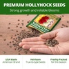 image:imageHOME GROWN Hollyhock Chaters Double Mix 100 Seeds 09g  Biennial Blooms Year 2 Double Flower Hollyhock Seeds for Planting Perennial Reseeding Cottage Garden USDA Zones 39 Alcea rosea
