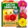 image:imageHOME GROWN Cosmos Bright Lights Mix Seeds  400 Cosmos Sulphureus for Planting Spring 2026 Refined Wildflower Herb Seed Mix Easy Grow Outdoor Flower Seeds for GardensZinnia Cactus