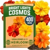 Cosmos Bright Lights