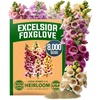 Foxglove Excelsior