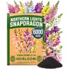 image:imageHOME GROWN Cosmos Bright Lights Mix Seeds  400 Cosmos Sulphureus for Planting Spring 2026 Refined Wildflower Herb Seed Mix Easy Grow Outdoor Flower Seeds for GardensSnapdragon Northern Lights