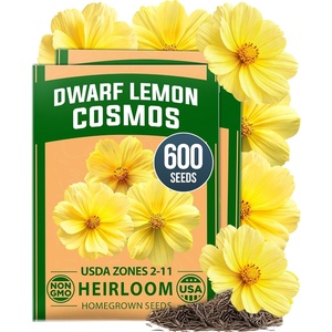 image:imageHOME GROWN Cosmos Bright Lights Mix Seeds  400 Cosmos Sulphureus for Planting Spring 2026 Refined Wildflower Herb Seed Mix Easy Grow Outdoor Flower Seeds for GardensCosmos Dwarf Lemon 2pack