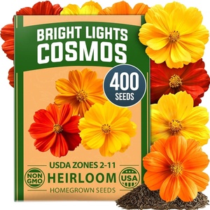 image:imageHOME GROWN Cosmos Bright Lights Mix Seeds  400 Cosmos Sulphureus for Planting Spring 2026 Refined Wildflower Herb Seed Mix Easy Grow Outdoor Flower Seeds for GardensCosmos Bright Lights