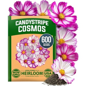 image:imageHOME GROWN Cosmos Bright Lights Mix Seeds  400 Cosmos Sulphureus for Planting Spring 2026 Refined Wildflower Herb Seed Mix Easy Grow Outdoor Flower Seeds for GardensCosmos Candystripe