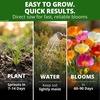 image:imageHOME GROWN California Poppy Formula Mix Flower Seeds for Spring 2026 Planting Eschscholzia californica 3000 Seeds 39g Heirloom NonGMO California Wildflower Seeds Bulk Poppy Flower Seed