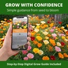 image:imageHOME GROWN California Poppy Formula Mix Flower Seeds for Spring 2026 Planting Eschscholzia californica 3000 Seeds 39g Heirloom NonGMO California Wildflower Seeds Bulk Poppy Flower Seed