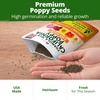 image:imageHOME GROWN California Poppy Formula Mix Flower Seeds for Spring 2026 Planting Eschscholzia californica 3000 Seeds 39g Heirloom NonGMO California Wildflower Seeds Bulk Poppy Flower Seed