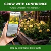 image:imageHOME GROWN Evening Primrose Seeds for Planting Oenothera Lamarckiana 575 Heirloom NonGMO Wildflower Seeds 03g Yellow Blooms Drought Tolerant Pollinator Garden Zones 49