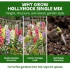 image:imageHOME GROWN Hollyhock Single Mix Planting Seeds 2026  29g1oz 3000 Seeds  OpenPollinated Flower Seed  Heirloom NonGMO  Deer Resistant  SelfSeeding  Zones 39