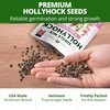 image:imageHOME GROWN Hollyhock Single Mix Planting Seeds 2026  29g1oz 3000 Seeds  OpenPollinated Flower Seed  Heirloom NonGMO  Deer Resistant  SelfSeeding  Zones 39