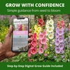 image:imageHOME GROWN Hollyhock Single Mix Planting Seeds 2026  29g1oz 3000 Seeds  OpenPollinated Flower Seed  Heirloom NonGMO  Deer Resistant  SelfSeeding  Zones 39