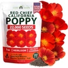 image:imageHOME GROWN California Poppy Seeds for Planting Red Chief 22000 Seeds 29g Red Blooms Heirloom NonGMO Wildflower amp Pollinator Gardens Drought Tolerant Zones 210 Eschscholzia californica