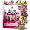 image:imageHOME GROWN Foxglove Seeds Mix 148500 Bulk Mixed Color Flower Seeds 15g for Planting Outdoors Spring 2026 Perennial Wildflowers for Cottage Gardens Borders amp Pollinator Gardens Digitalis purpurea
