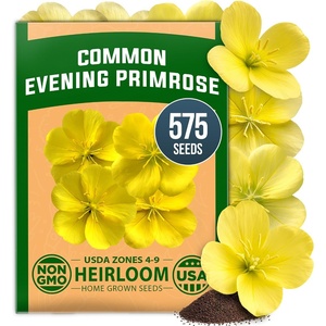 image:imageHOME GROWN Evening Primrose Seeds for Planting Oenothera Lamarckiana 575 Heirloom NonGMO Wildflower Seeds 03g Yellow Blooms Drought Tolerant Pollinator Garden Zones 49