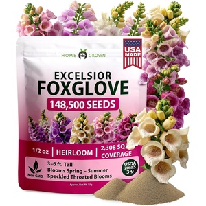 image:imageHOME GROWN Foxglove Seeds Mix 148500 Bulk Mixed Color Flower Seeds 15g for Planting Outdoors Spring 2026 Perennial Wildflowers for Cottage Gardens Borders amp Pollinator Gardens Digitalis purpurea