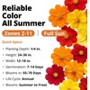 image:imageHOME GROWN Cosmos Bright Lights Mix Seeds  2500 Cosmos Sulphureus for Planting Spring 2026 Refined Wildflower Herb Seed Mix Easy Grow Outdoor Flower Seeds for Gardens