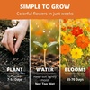 image:imageHOME GROWN Cosmos Bright Lights Mix Seeds  2500 Cosmos Sulphureus for Planting Spring 2026 Refined Wildflower Herb Seed Mix Easy Grow Outdoor Flower Seeds for Gardens