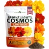 image:imageHOME GROWN Cosmos Bright Lights Mix Seeds  2500 Cosmos Sulphureus for Planting Spring 2026 Refined Wildflower Herb Seed Mix Easy Grow Outdoor Flower Seeds for Gardens