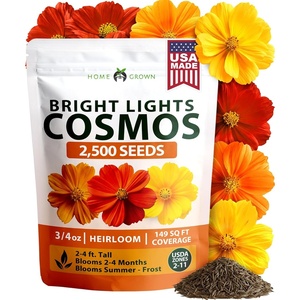 image:imageHOME GROWN Cosmos Bright Lights Mix Seeds  2500 Cosmos Sulphureus for Planting Spring 2026 Refined Wildflower Herb Seed Mix Easy Grow Outdoor Flower Seeds for Gardens