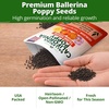 image:imageHOME GROWN Ballerina Mix California Poppy Seeds for Planting 10000 Seeds Eschscholzia californica