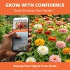 image:imageHOME GROWN Cactus Mix Zinnia Seeds 1300 Seeds 650 Seeds 2 Pack Zinnia elegans