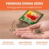image:imageHOME GROWN Cactus Mix Zinnia Seeds 1300 Seeds 650 Seeds 2 Pack Zinnia elegans