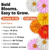 image:imageHOME GROWN Cactus Mix Zinnia Seeds 1300 Seeds 650 Seeds 2 Pack Zinnia elegans