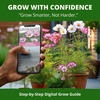 image:imageHOME GROWN Candystripe Cosmos Seeds for Planting 1200 Seeds 600 Each 2 Pack Cosmos bipinnatu