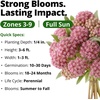 image:imageHOME GROWN Common Milkweed Flower Seeds for Planting  150 Seeds 08g Fragrant Pink Blooms Heirloom NonGMO Monarch Butterfly Host Plant Native Perennial Wildflower Zones 39