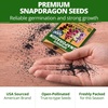 image:imageHOME GROWN Fairy amp Northern Lights Spurred Snapdragon Seeds for Planting 6000 Seeds Linaria maroccana
